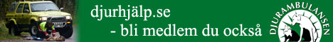 Djurambulansen