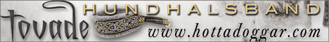 www.hottadoggar.com