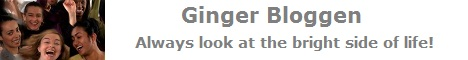 Gingers tankar om allt mellan himmel och jord